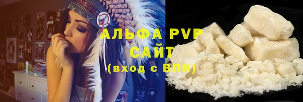 PSILOCYBIN Гусиноозёрск