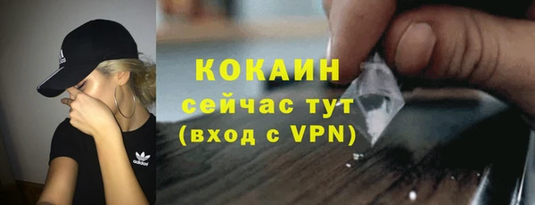 соль ск Гусь-Хрустальный
