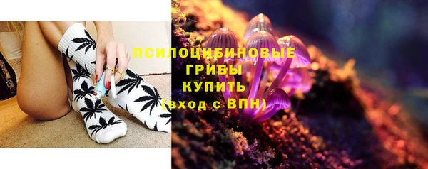 соль ск Гусь-Хрустальный