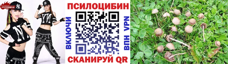 Псилоцибиновые грибы ЛСД  это состав  Духовщина 